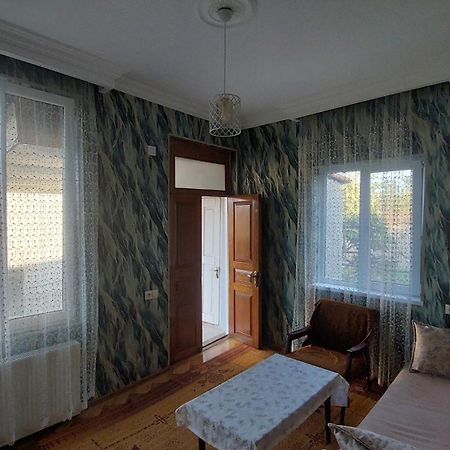Guesthouse Angelina-Koko Sighnaghi Bagian luar foto